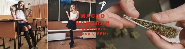 дмт Карпинск