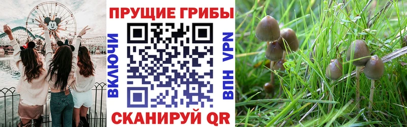 Галлюциногенные грибы мухоморы  купить наркоту  Медвежьегорск 
